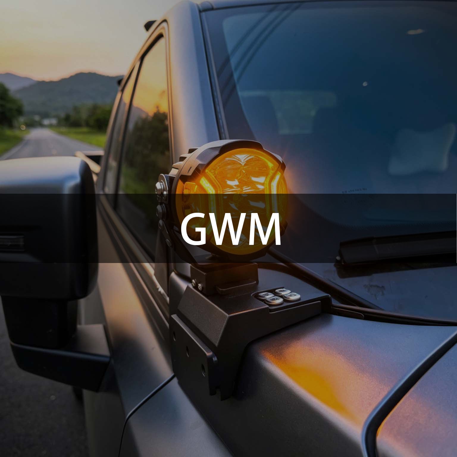 GWM