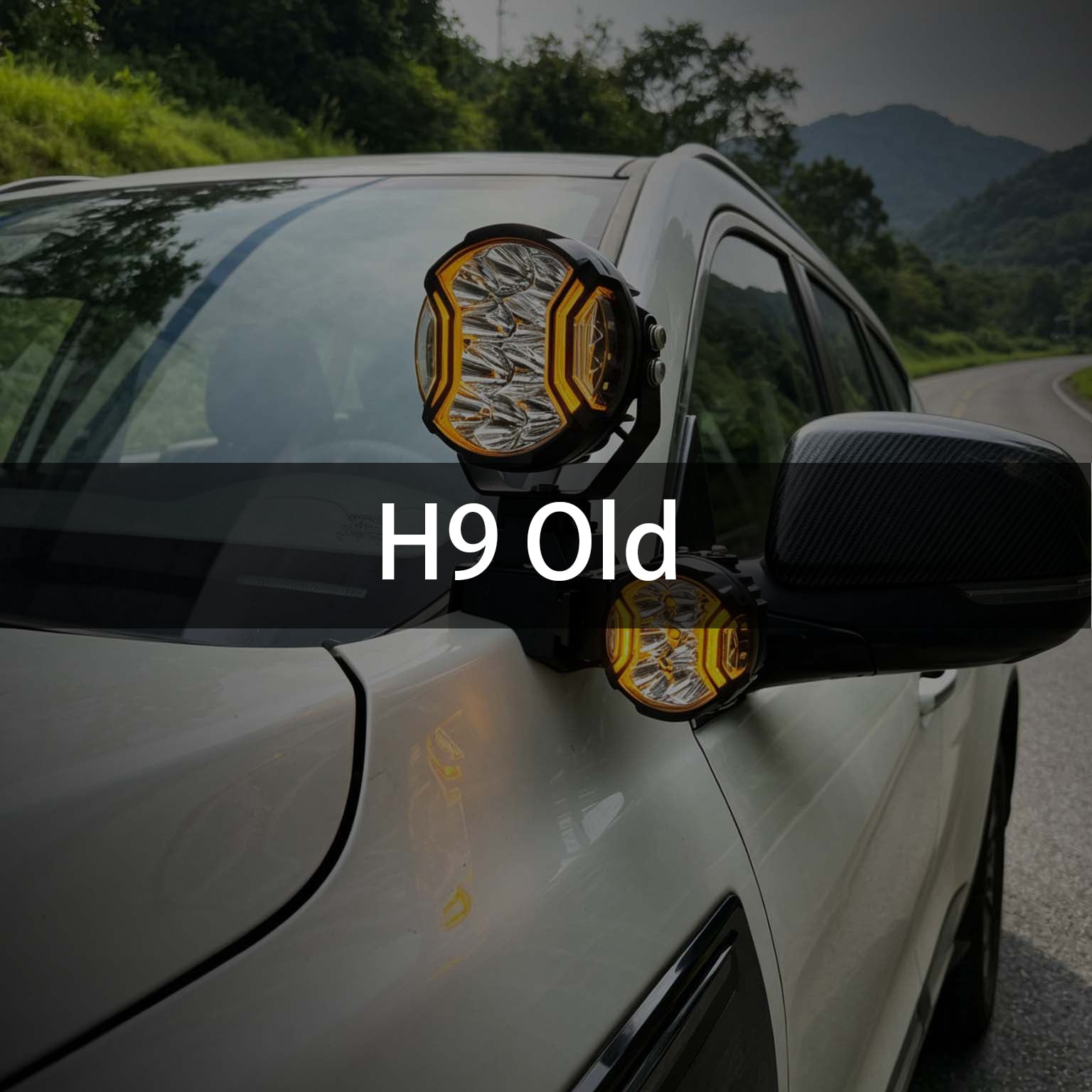 GWM H9_Old