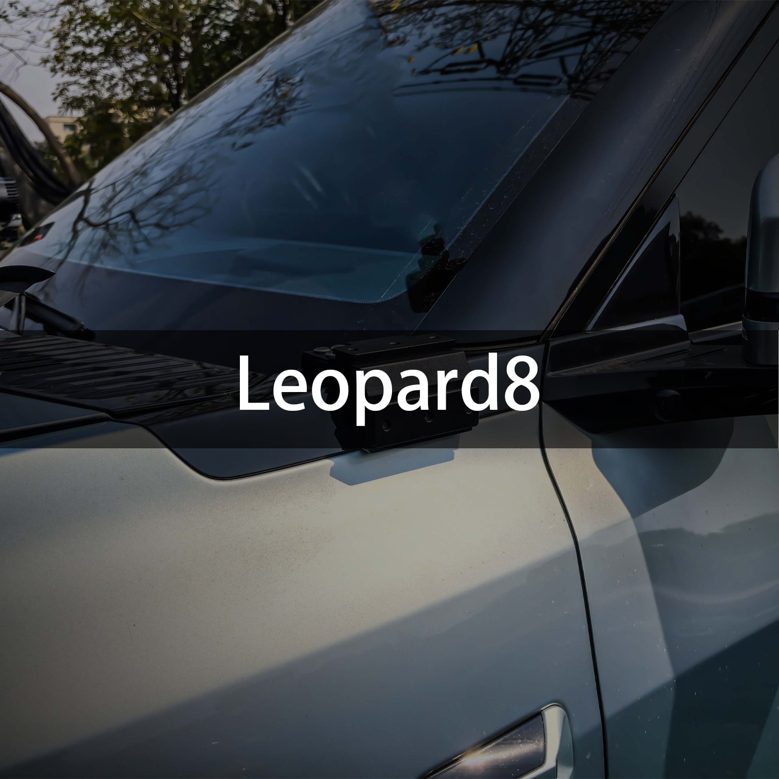BYD Leopard 8