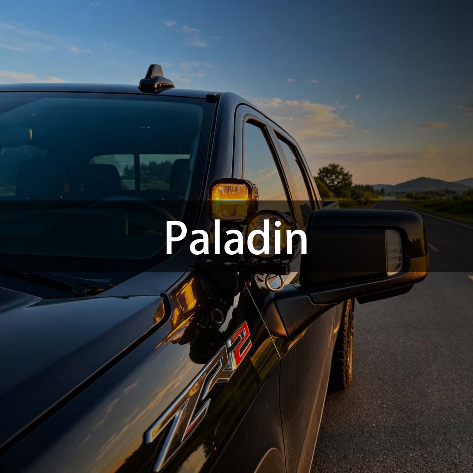 Nissan Paladin