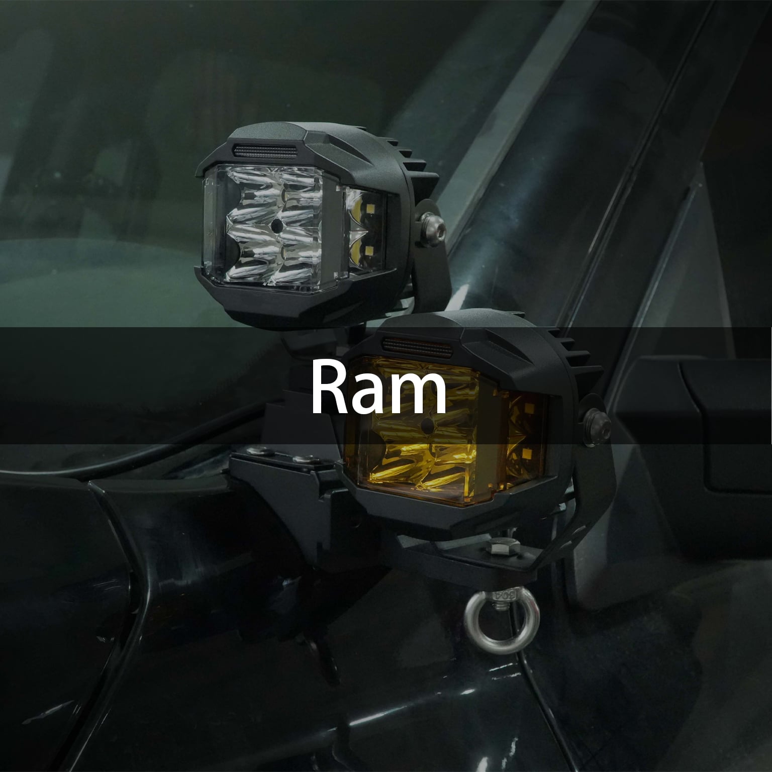 Ram